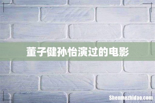 董子健孙怡演过的电影