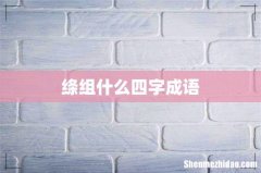 绦组什么四字成语
