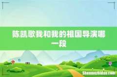 陈凯歌我和我的祖国导演哪一段