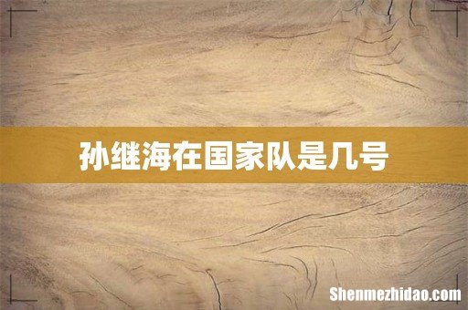 孙继海在国家队是几号