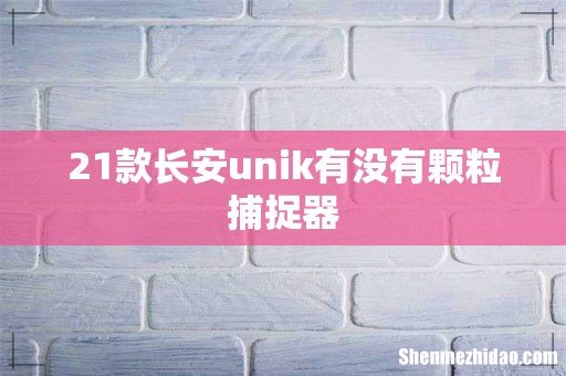 21款长安unik有没有颗粒捕捉器
