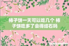 柿子饼一天可以吃几个 柿子饼吃多了会得结石吗
