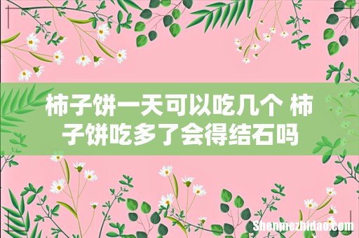 柿子饼一天可以吃几个 柿子饼吃多了会得结石吗