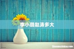 李小璐赵涛多大