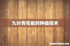 九叶青花椒的种植技术