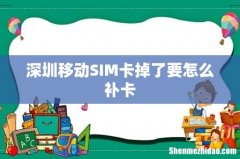 深圳移动SIM卡掉了要怎么补卡