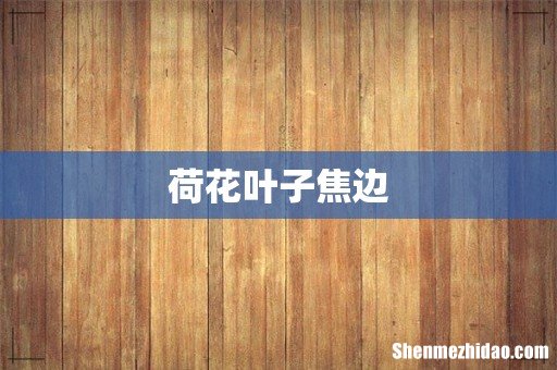 荷花叶子焦边