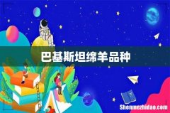 巴基斯坦绵羊品种