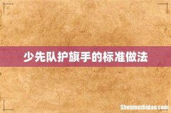 少先队护旗手的标准做法