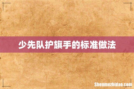 少先队护旗手的标准做法