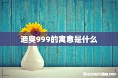 迪奥999的寓意是什么