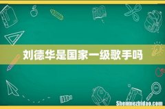刘德华是国家一级歌手吗