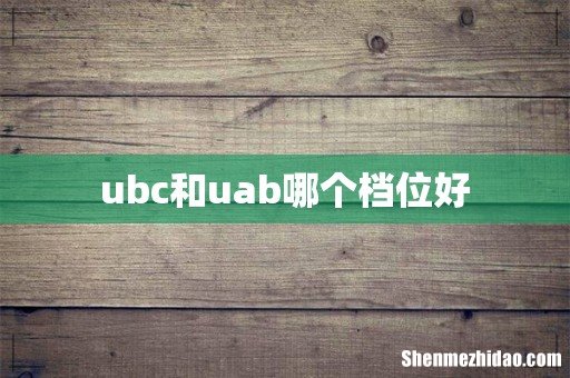 ubc和uab哪个档位好