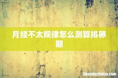 月经不太规律怎么测算排卵期