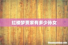 红楼梦贾家有多少孙女