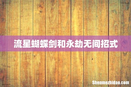 流星蝴蝶剑和永劫无间招式