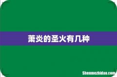萧炎的圣火有几种