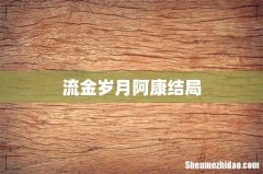 流金岁月阿康结局
