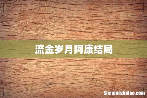 流金岁月阿康结局