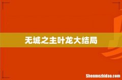 无城之主叶龙大结局