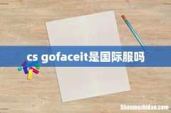 cs gofaceit是国际服吗