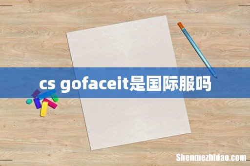 cs gofaceit是国际服吗