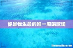 你是我生命的唯一原唱歌词