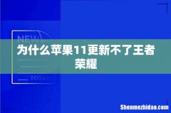 为什么苹果11更新不了王者荣耀