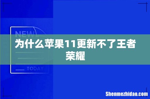为什么苹果11更新不了王者荣耀