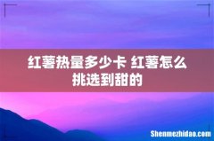 红薯热量多少卡 红薯怎么挑选到甜的