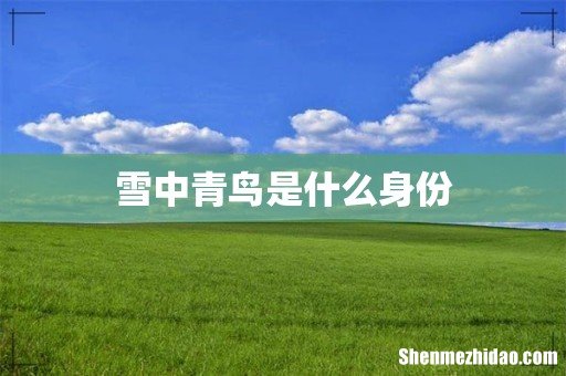 雪中青鸟是什么身份
