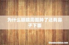 为什么眼睛周围肿了还有鼻子下面