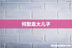何猷龙大儿子