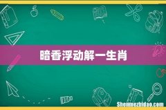 暗香浮动解一生肖