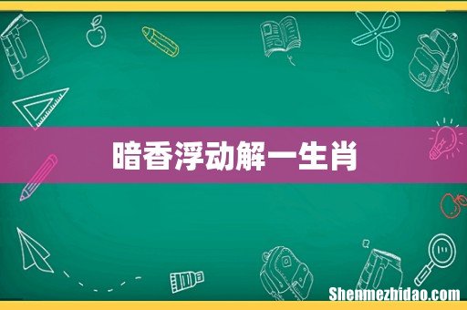 暗香浮动解一生肖