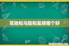 驾驰和马勒和曼牌哪个好