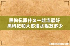 黑枸杞跟什么一起泡最好 黑枸杞和大枣泡水喝放多少