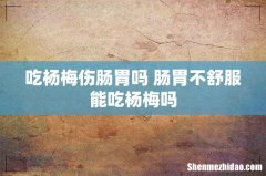 吃杨梅伤肠胃吗 肠胃不舒服能吃杨梅吗
