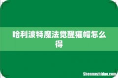 哈利波特魔法觉醒獾帽怎么得