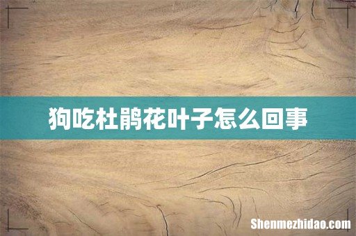 狗吃杜鹃花叶子怎么回事