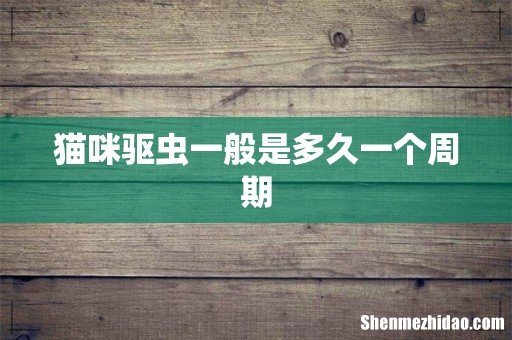 猫咪驱虫一般是多久一个周期