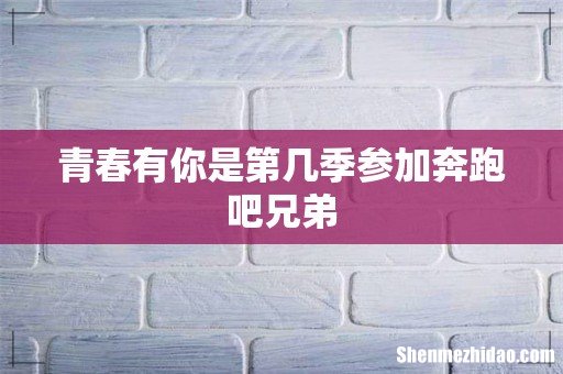 青春有你是第几季参加奔跑吧兄弟