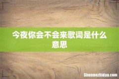 今夜你会不会来歌词是什么意思