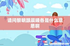 请问黎明跟晨曦各是什么意思啊