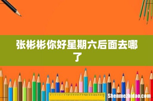 张彬彬你好星期六后面去哪了