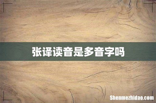 张译读音是多音字吗