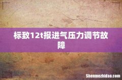 标致12t报进气压力调节故障