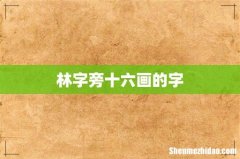 林字旁十六画的字