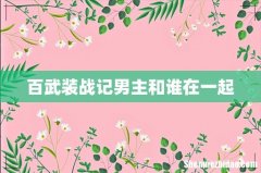百武装战记男主和谁在一起