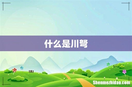 什么是川弩